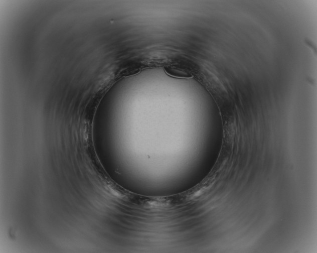 X0000091310232200708241121