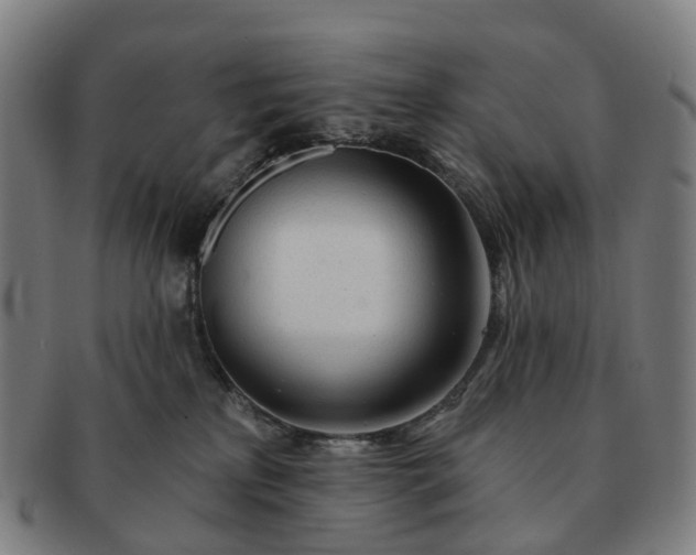 X0000091310233200708241121