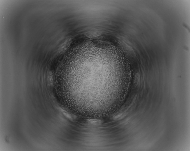 X0000091310234200708241121