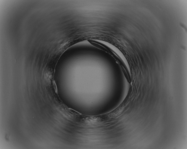 X0000091310235200708241120