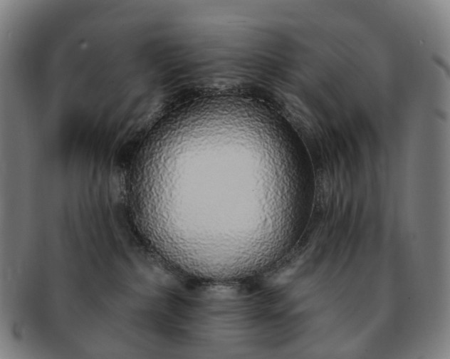 X0000091310236200708241120