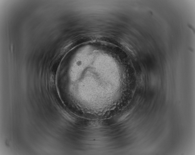 X0000091310238200708241120