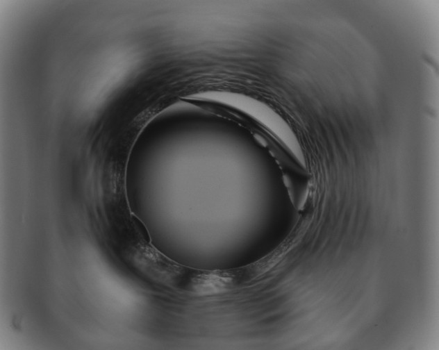 X0000091310239200708241120