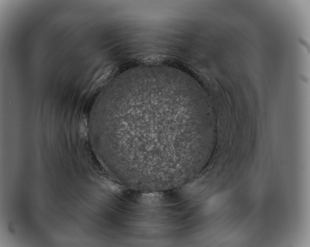 X0000091310240200708241120