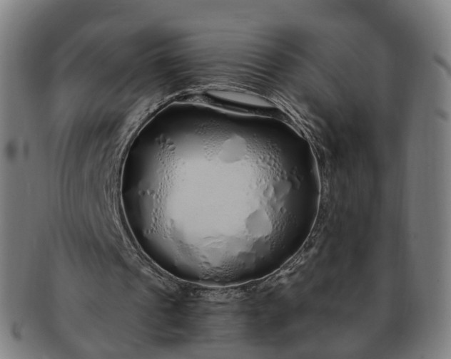 X0000091310241200708241120