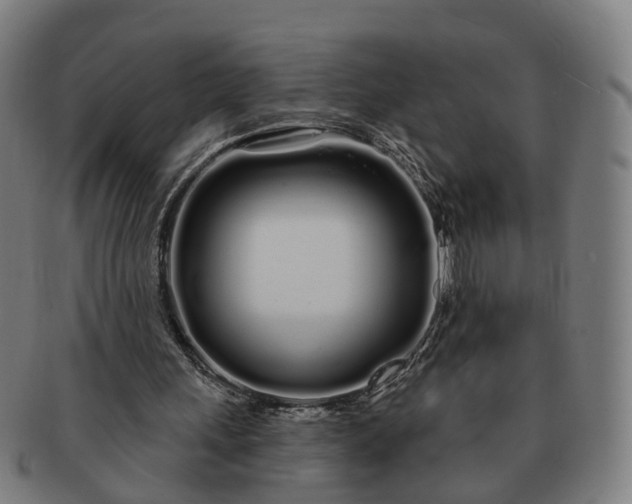 X0000091310243200708241120