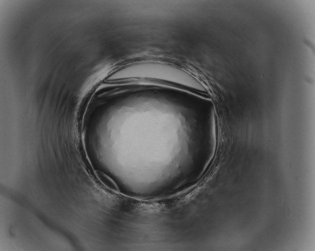 X0000091310245200708241120