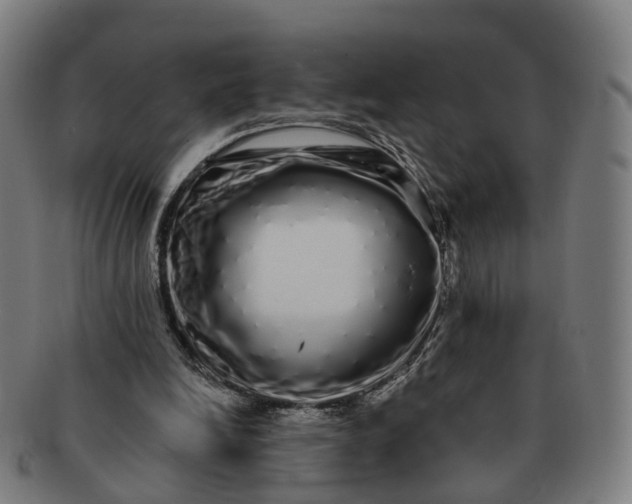 X0000091310246200708241120