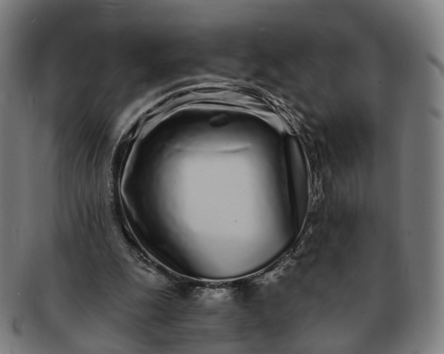 X0000091310247200708241120