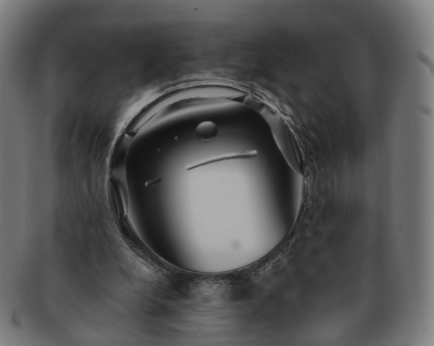 X0000091310248200708241120