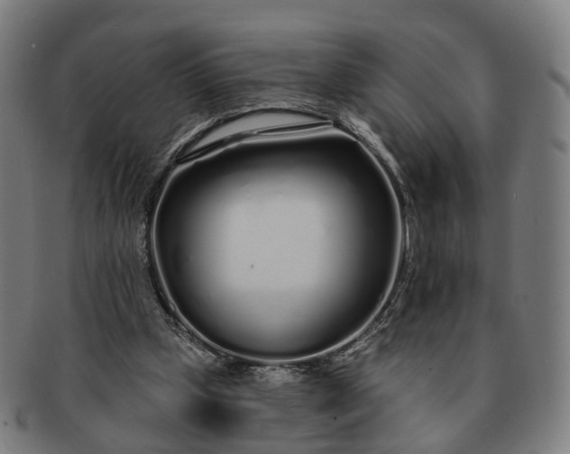 X0000091310249200708241120