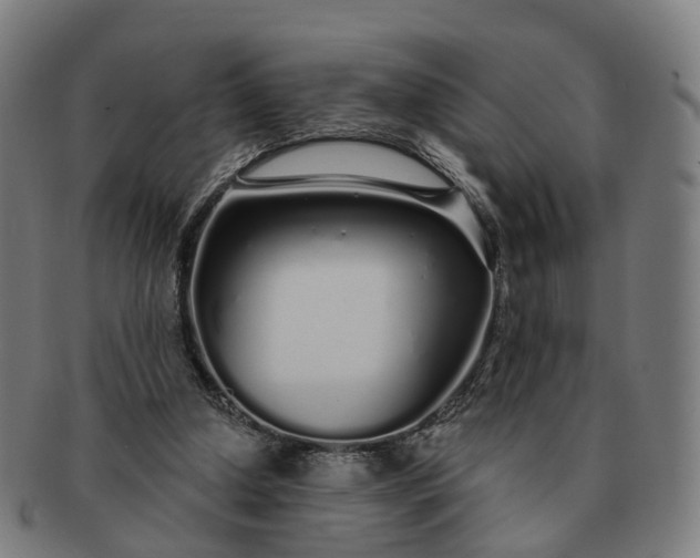 X0000091310250200708241120