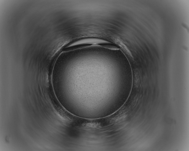 X0000091310251200708241120