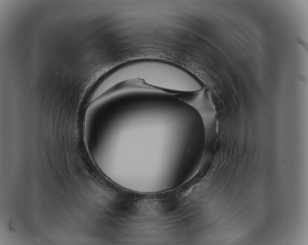 X0000091310252200708241120