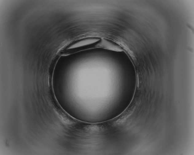 X0000091310253200708241120