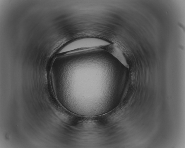 X0000091310254200708241120