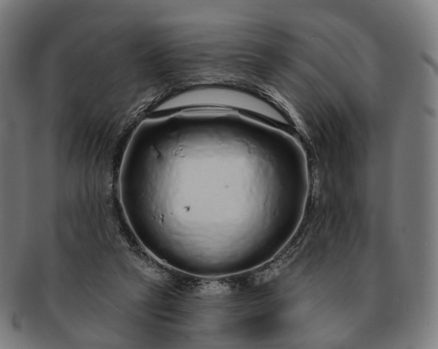 X0000091310257200708241120