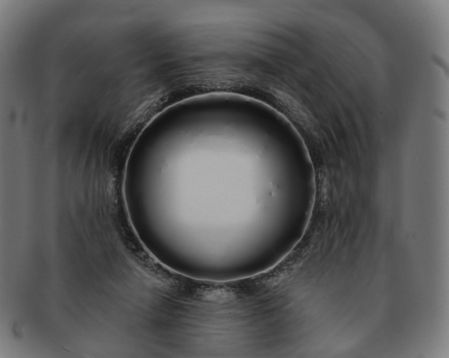 X0000091310258200708241120