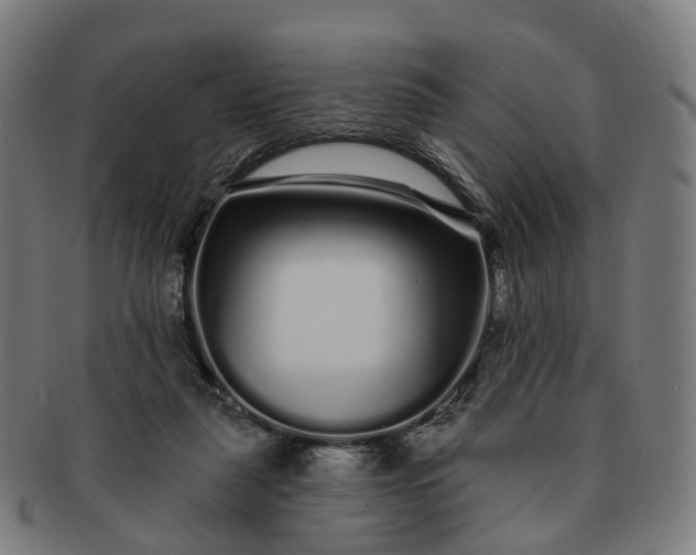 X0000091310259200708241120