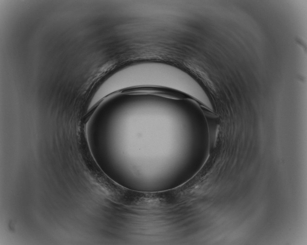 X0000091310260200708241120