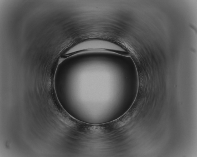 X0000091310261200708241120