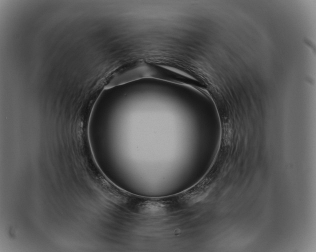 X0000091310263200708241120