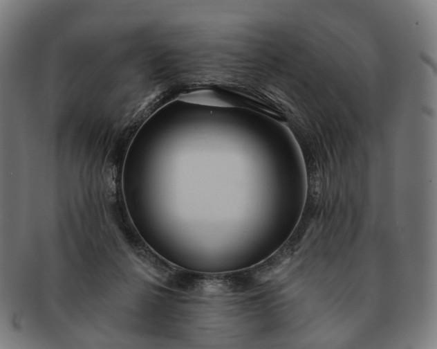 X0000091310264200708241120