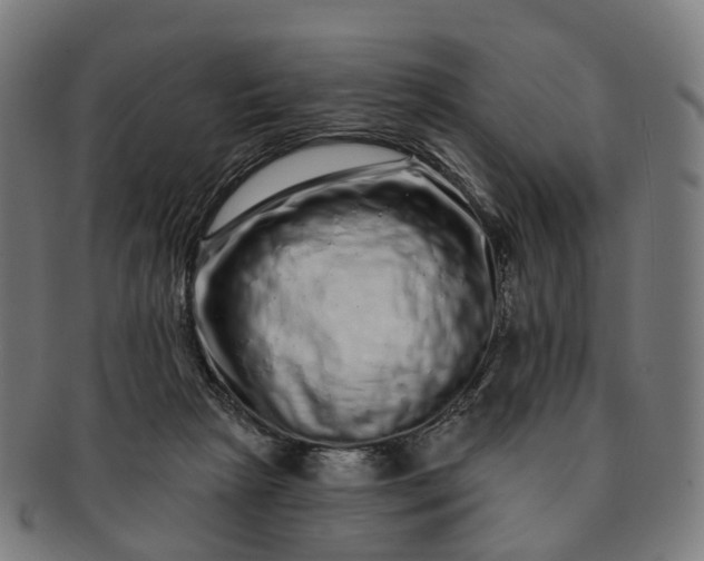 X0000091310265200708241120