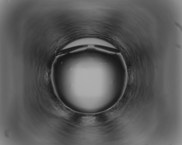 X0000091310266200708241120