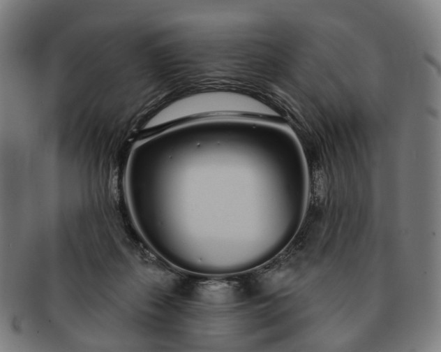 X0000091310267200708241120