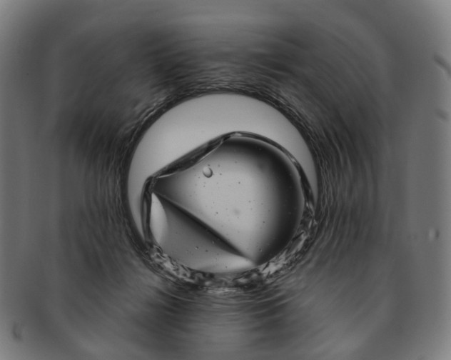 X0000091310268200708241120