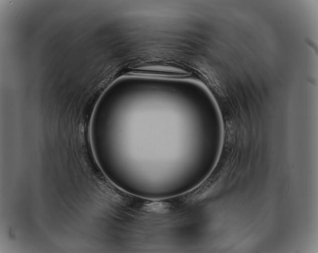 X0000091310269200708241120