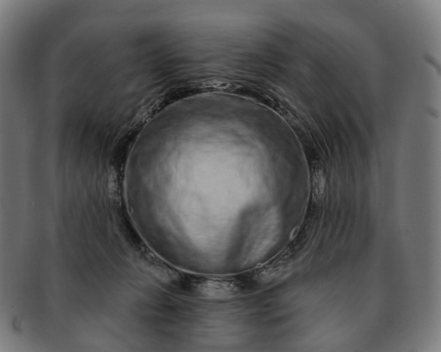 X0000091310270200708241120