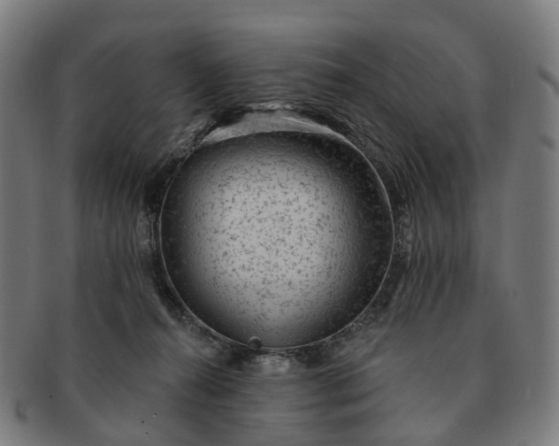 X0000091310272200708241120