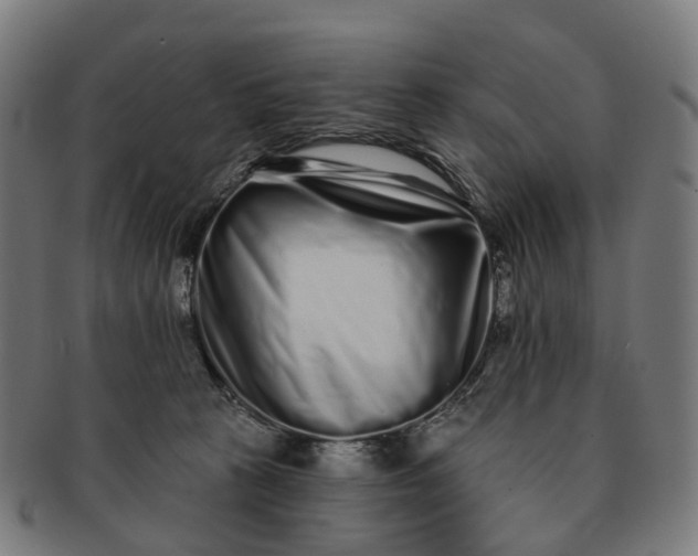 X0000091310273200708241120