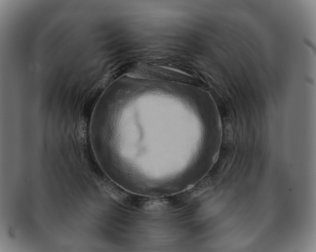 X0000091310274200708241120