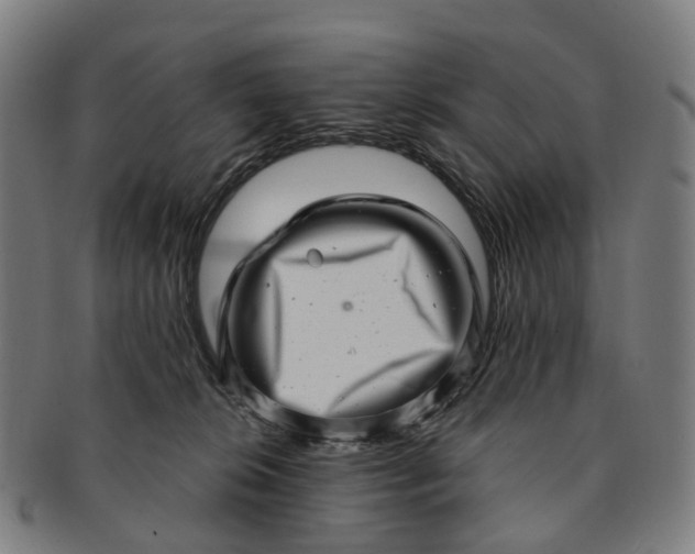 X0000091310276200708241120