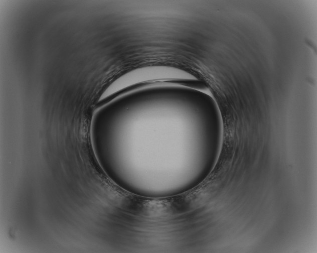 X0000091310277200708241120