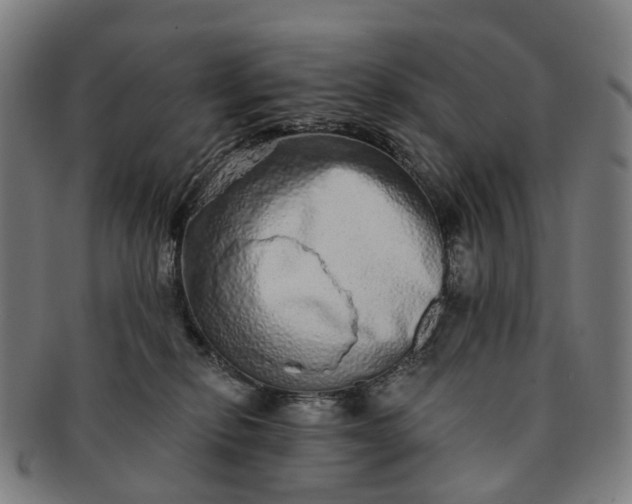 X0000091310278200708241120