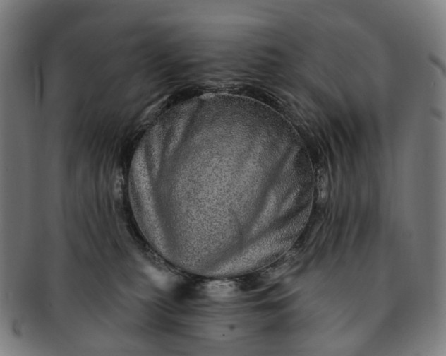 X0000091310279200708241120