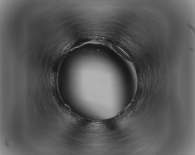 X0000091310280200708241120