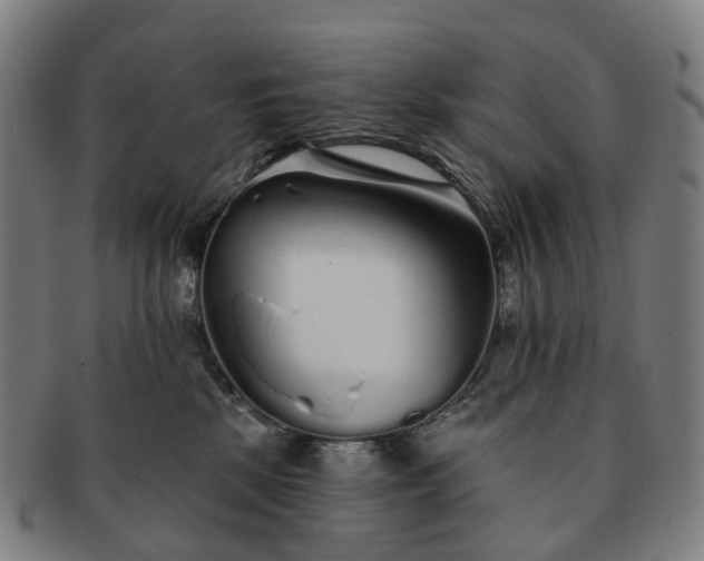 X0000091310281200708241120