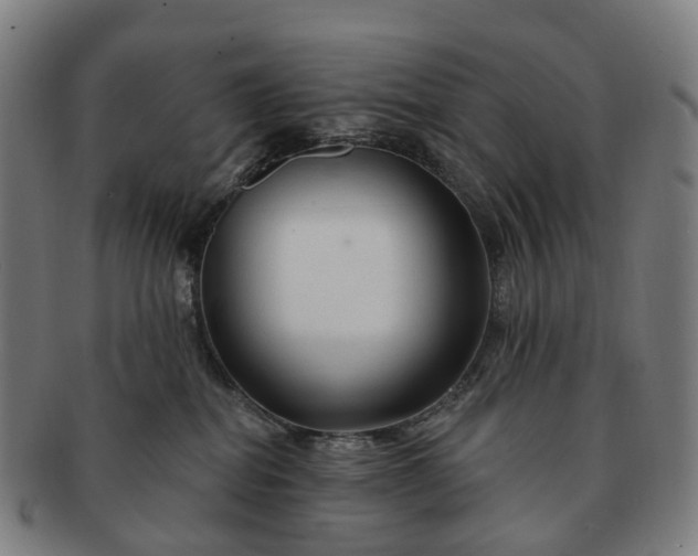 X0000091310282200708241120