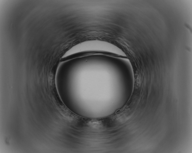 X0000091310283200708241120