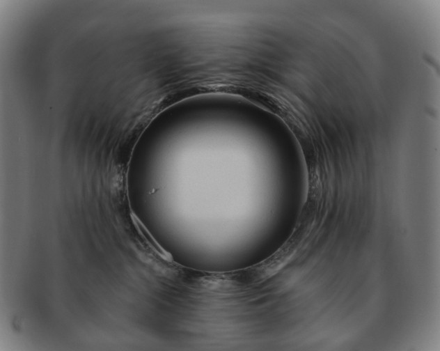 X0000091310284200708241120