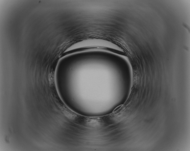 X0000091310285200708241120