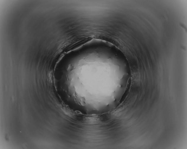 X0000091310286200708241120