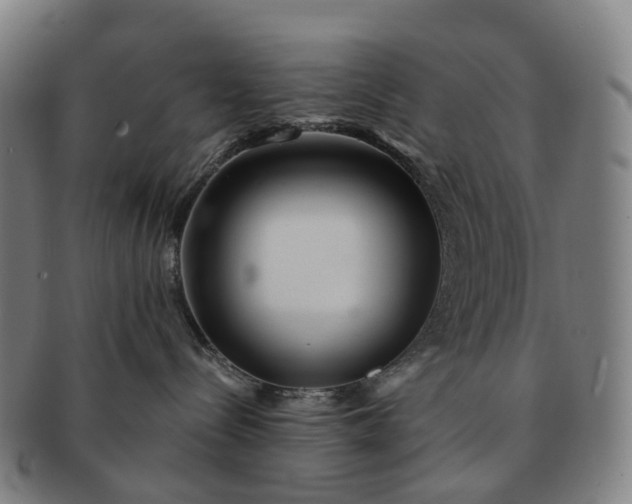 X0000091310288200708241120