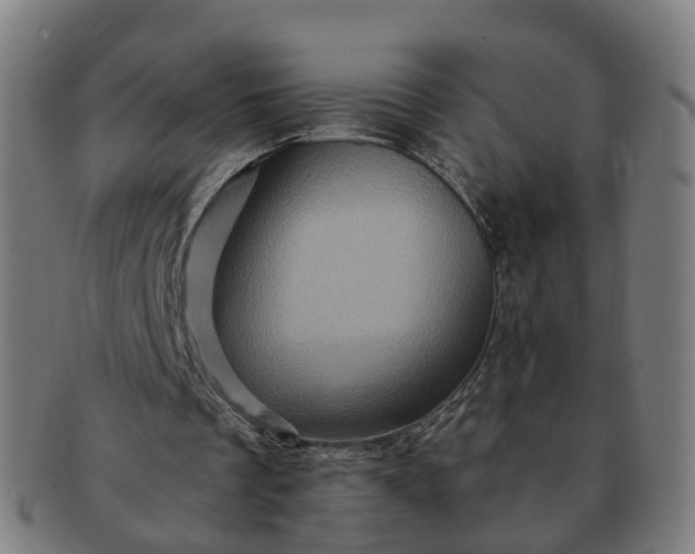 X0000091310289200708241120