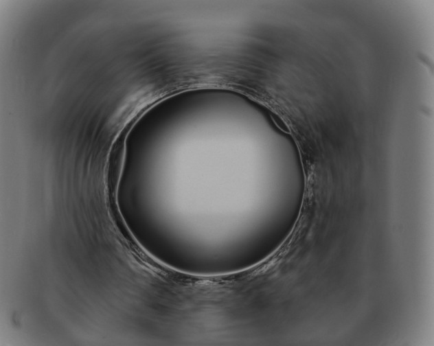 X0000091310290200708241120